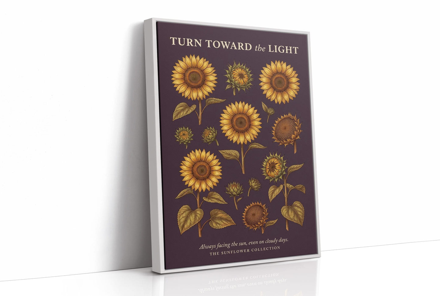 Turn Toward the Light: Vintage Sunflower Chart
