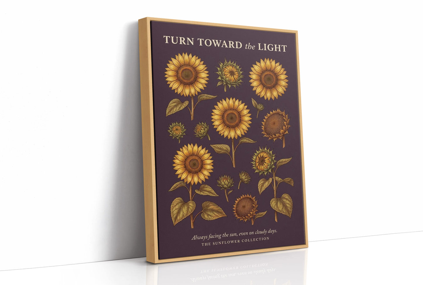 Turn Toward the Light: Vintage Sunflower Chart