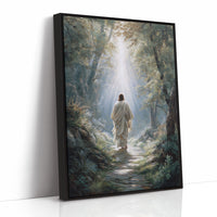 Light Guides The Forest Path