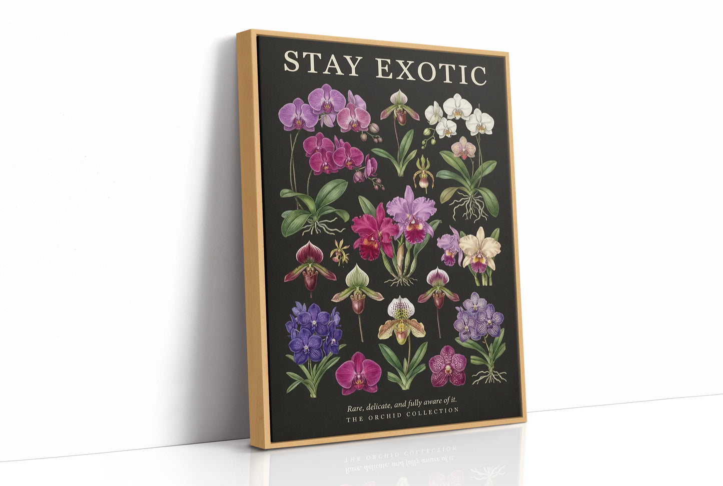 Stay Exotic: Vintage Orchid Chart