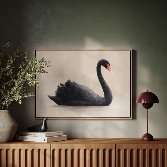 Black Swan Glides Through Blush Dawn