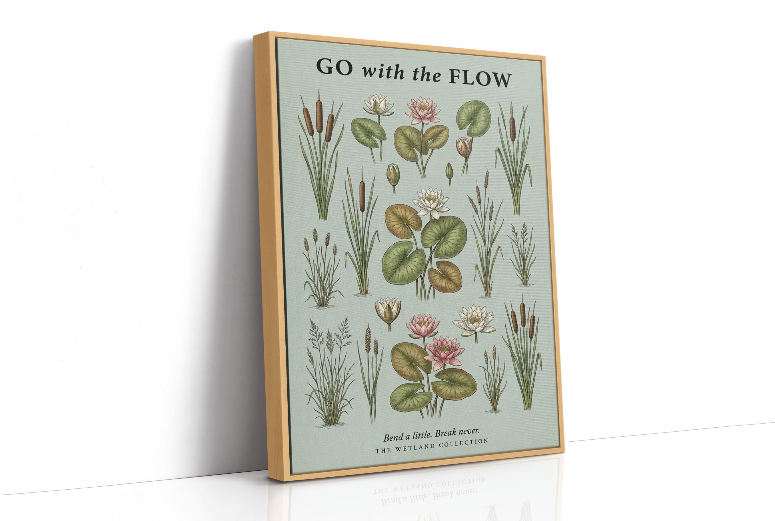Go with the Flow: Vintage Wetland Chart