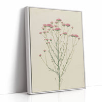 Meadow Gathered Lightly
