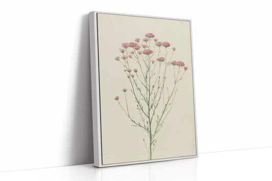 Meadow Gathered Lightly