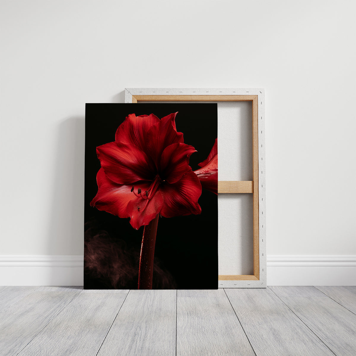 Amaryllis in Full Crimson Bloom