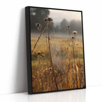 Thistles Catch Dawn's First Light