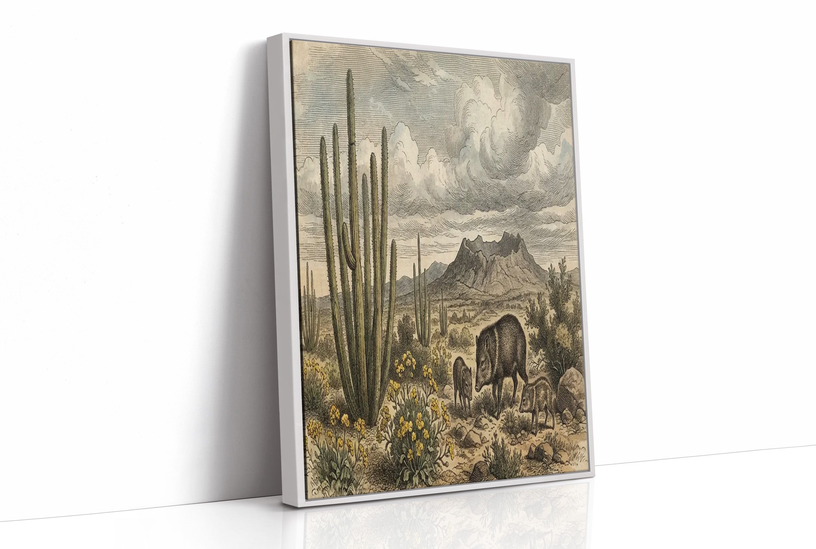 Desert Javelina Family