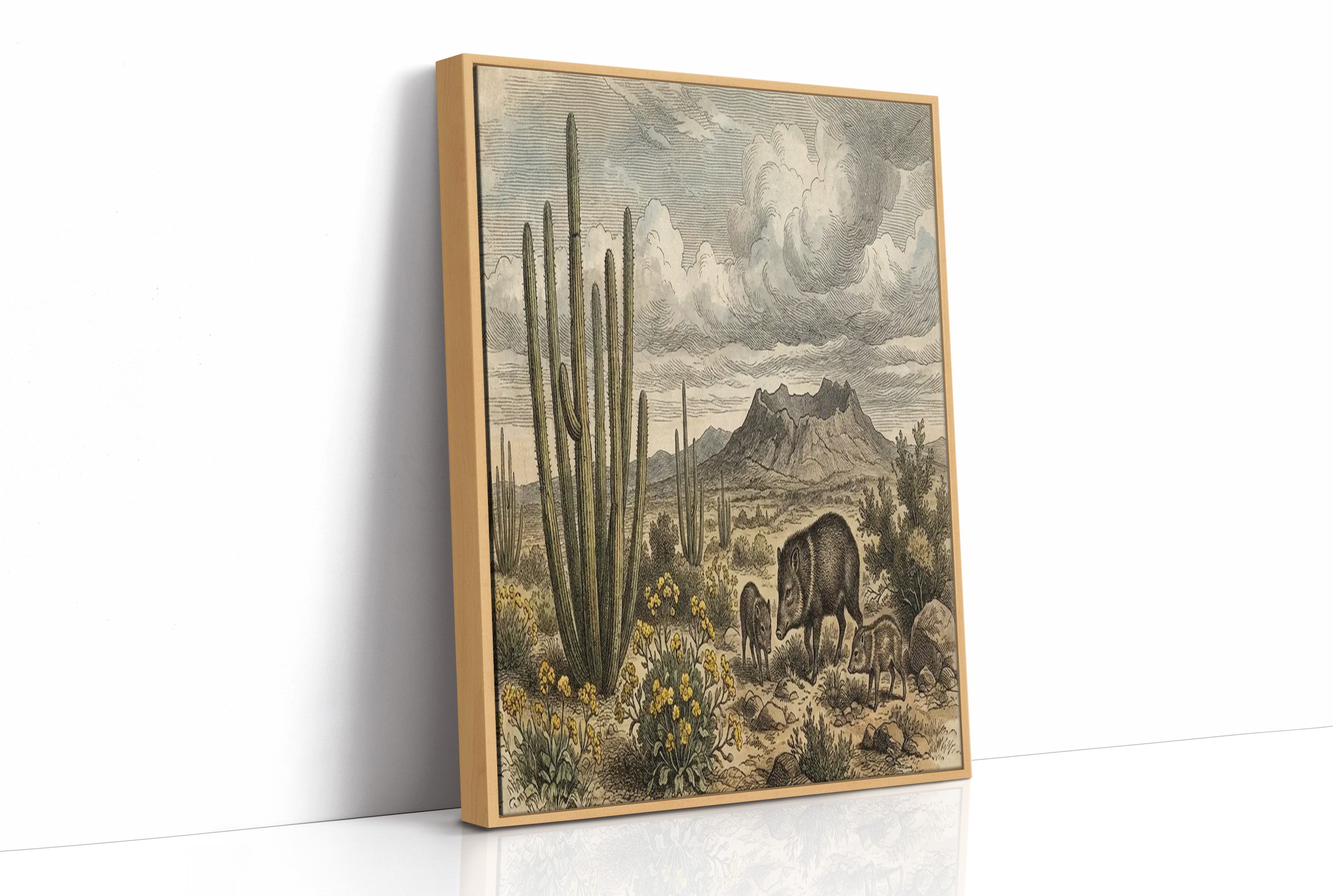 Desert Javelina Family