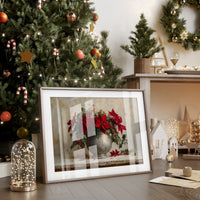 Poinsettias Paint December's Silver Story