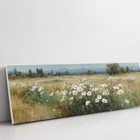 Wild Daisies Across Golden Meadow