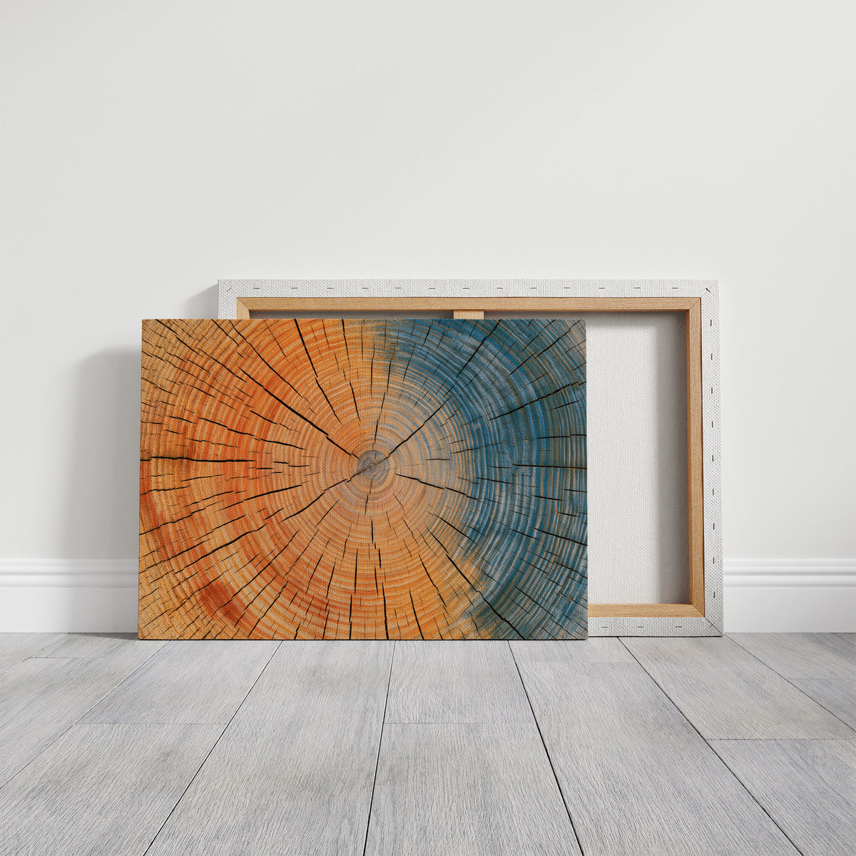 Tree Rings in Two Tones