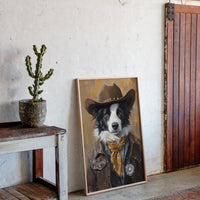 Border Collie Western Marshal
