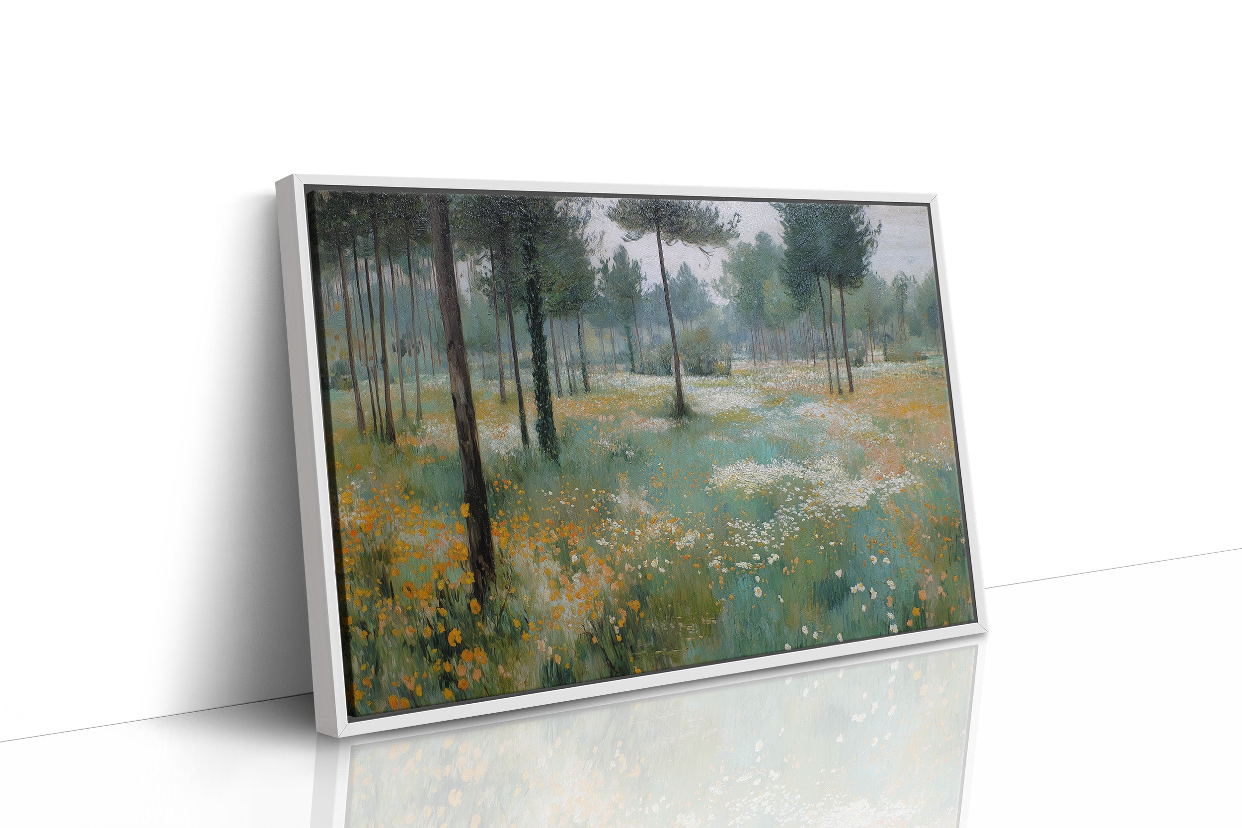Meadow Light Through Ancient Pines