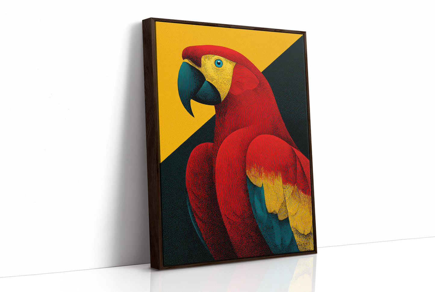 Scarlet Macaw Study