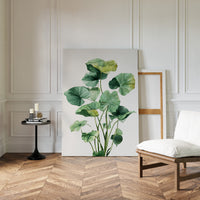 Lotus Leaves Dance In Sunlight