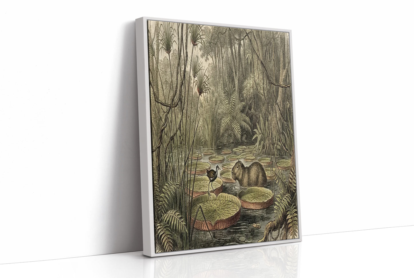 Lily Pad Neighbors