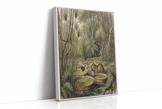 Lily Pad Neighbors