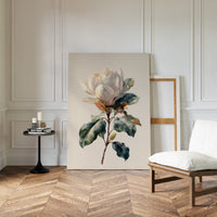 Southern Magnolia In Morning Light