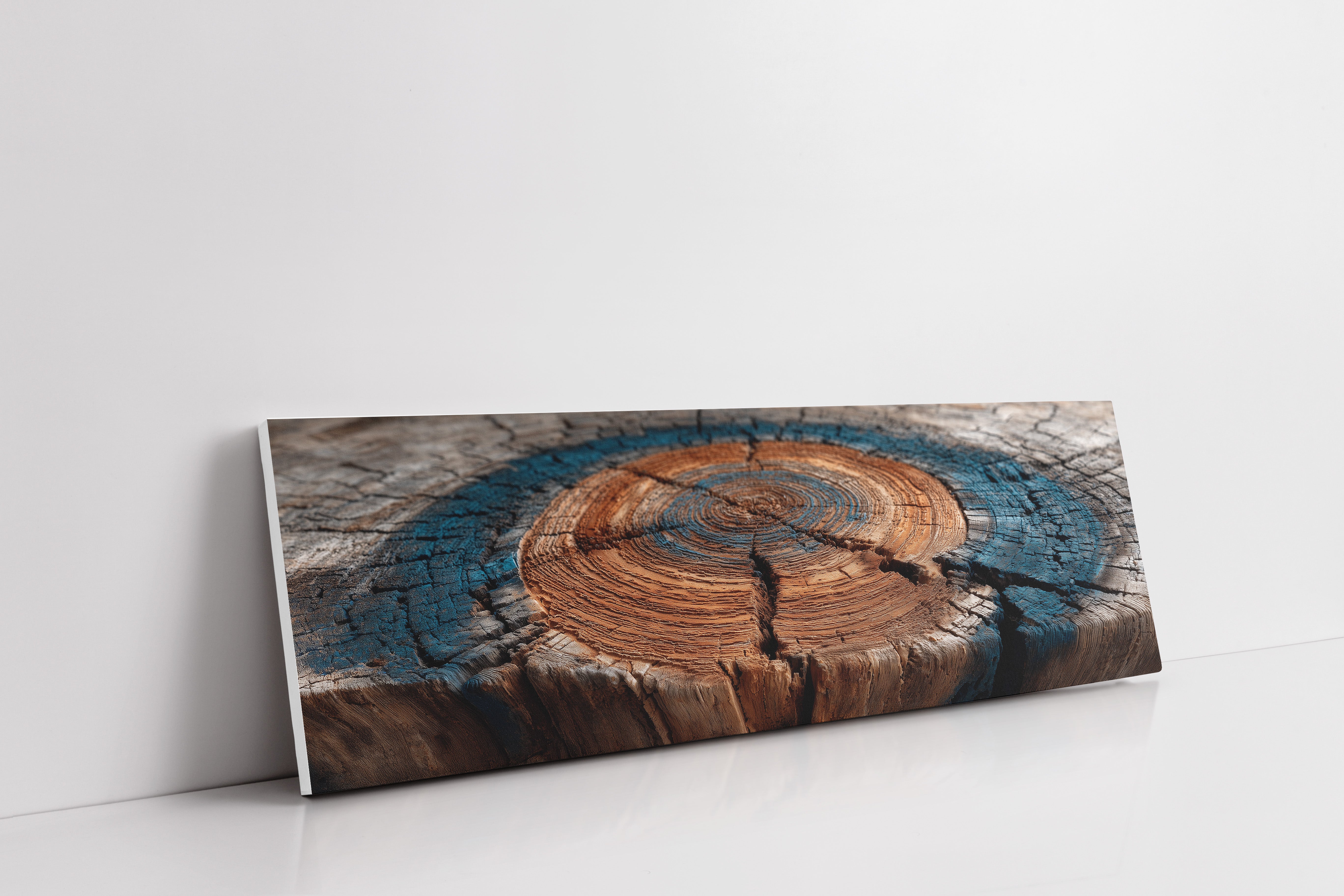 Ancient Tree Rings of Time
