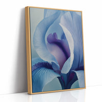 Something Soft Unfolds Within