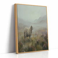 Highland Fog Grazing