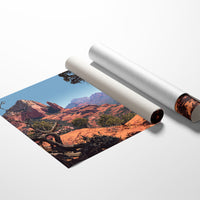 Twisted Juniper Frames Desert Peaks