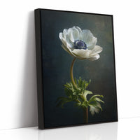 Lone Anemone Against Dark Depths