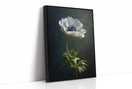 Lone Anemone Against Dark Depths