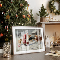 Winter Barn Brings Christmas To Cows