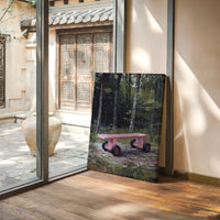 Pink Bench Rests In Forest Shade