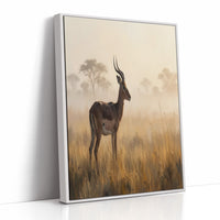 Impala at First Light