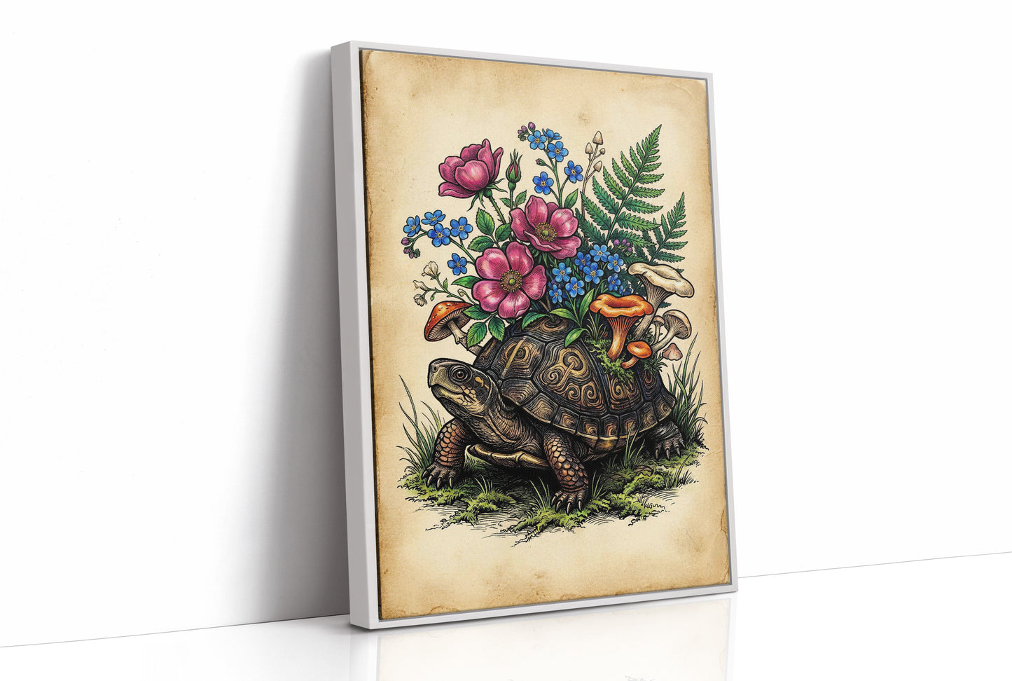 The Tortoise's Traveling Garden