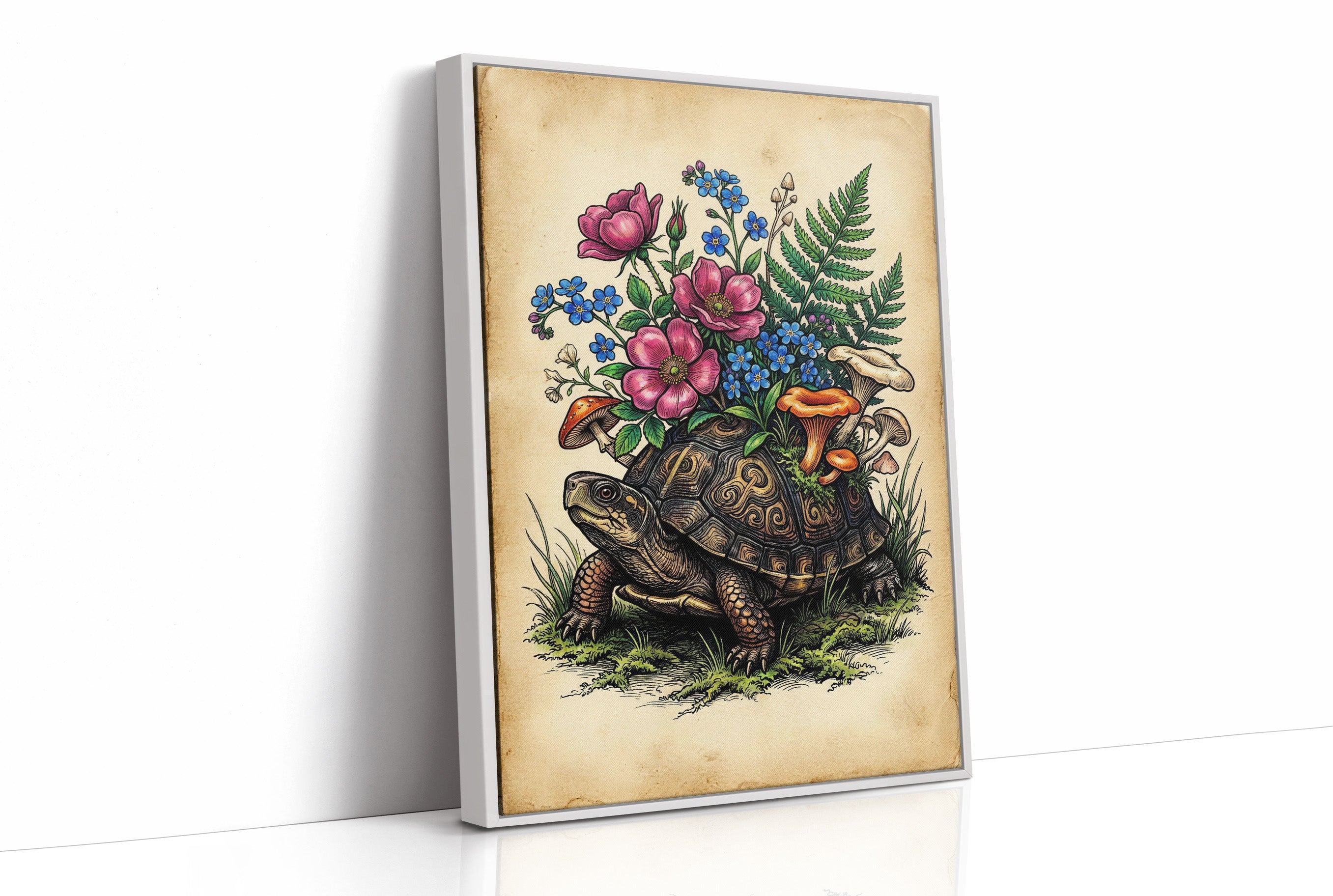 The Tortoise's Traveling Garden