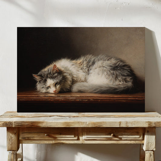 Afternoon Light On Sleeping Grace