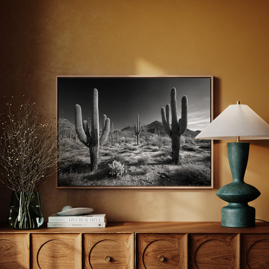 Sentinels of the Sonoran