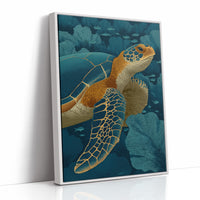 Turtle Among Coral Fans