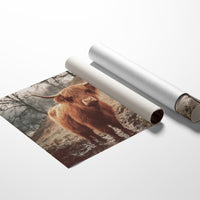 Highland Morning Mist And Stone