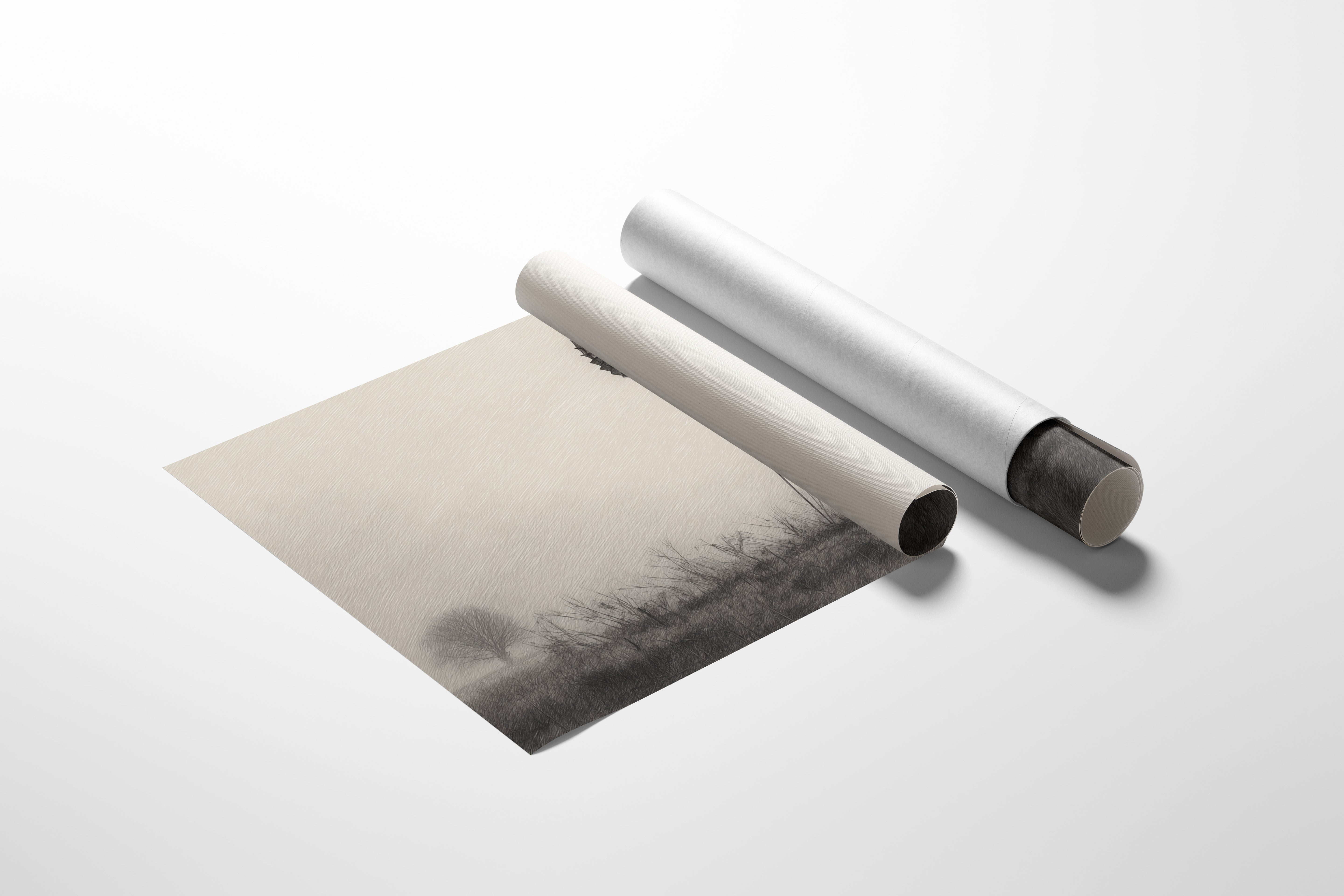 Solitary Steel Catches Morning Mist