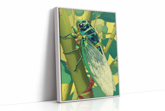 Cicada in Full Chorus