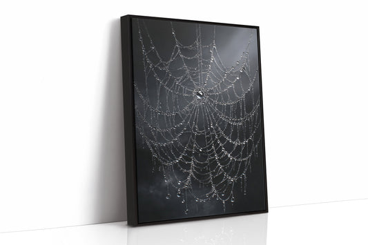 Intricate Threads of Morning Light