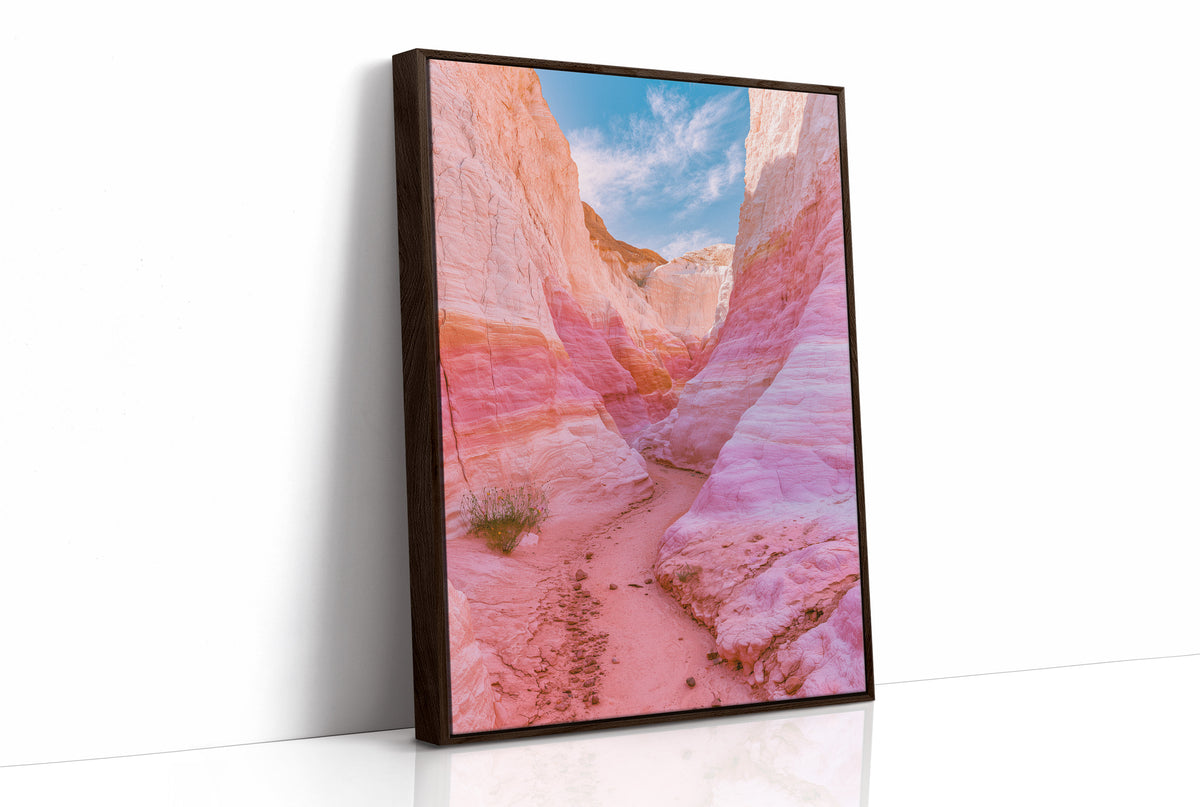 Pink Sandstone Slot Canyon