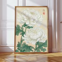 White Chrysanthemum – Symbol of Purity and Elegance