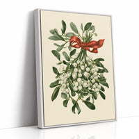 Mistletoe, Tied in Red