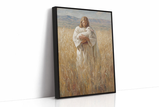 Gentle Light Through Winter Fields