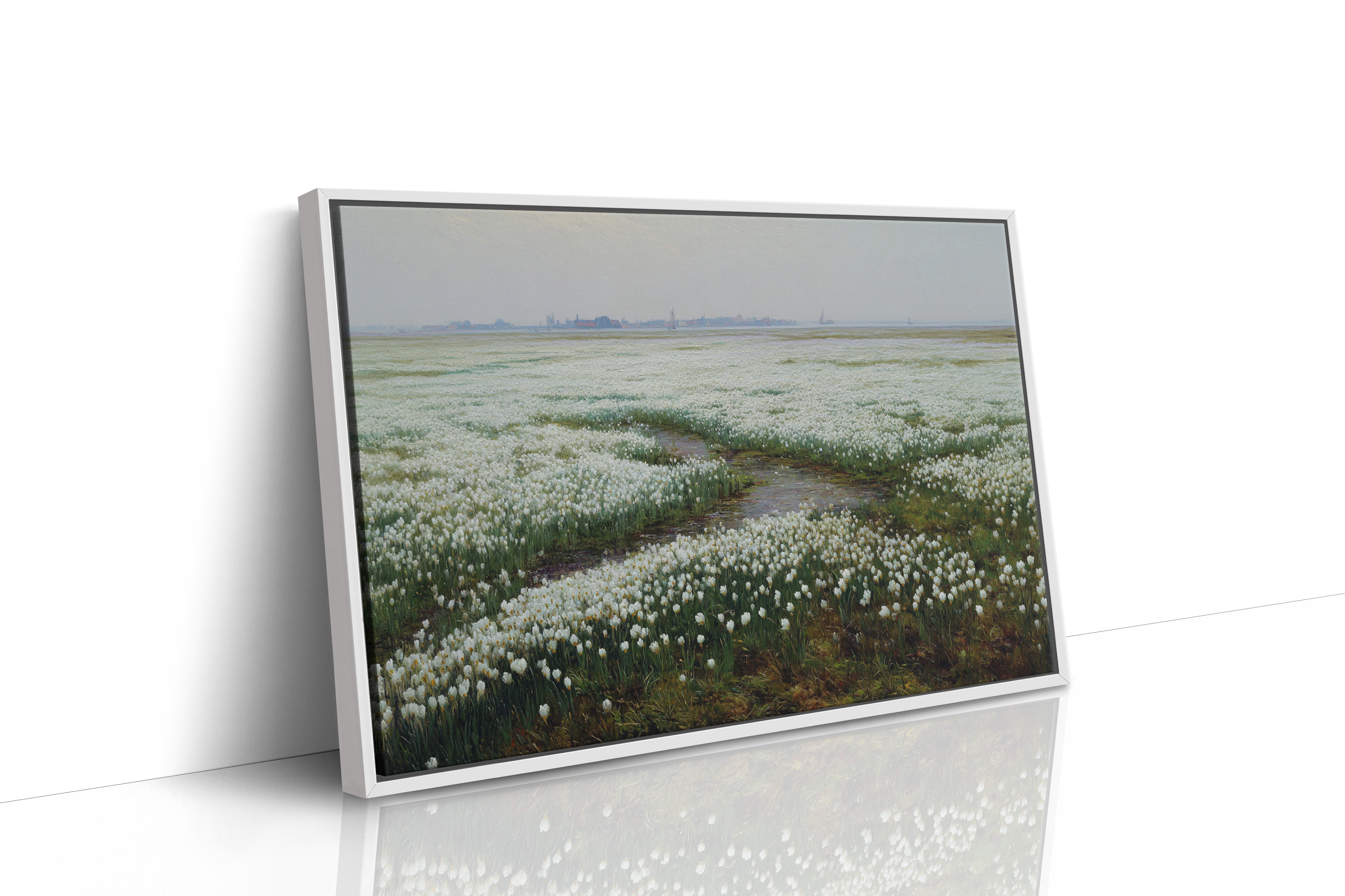 White Tulips Dance Through Dutch Fields