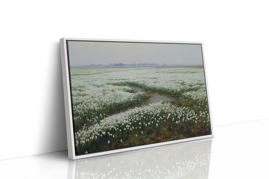 White Tulips Dance Through Dutch Fields