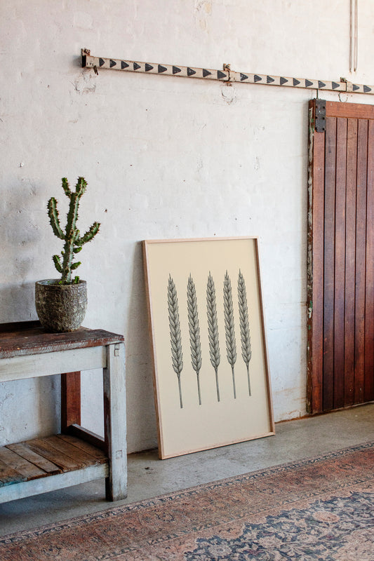 Five Loaves Botanical Wheat Illustration