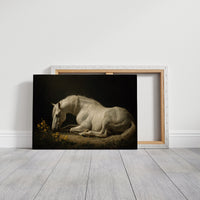 White Steed Among Wildflowers