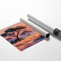 Savanna at Golden Dusk