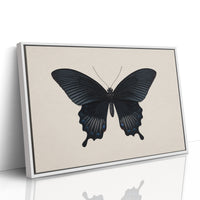 Midnight Sails On Velvet Wings